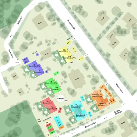 Wellness- 